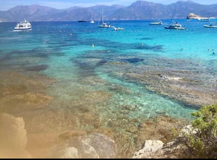 Villa Le Corail Rouge Corse Lecci Εξωτερικό φωτογραφία