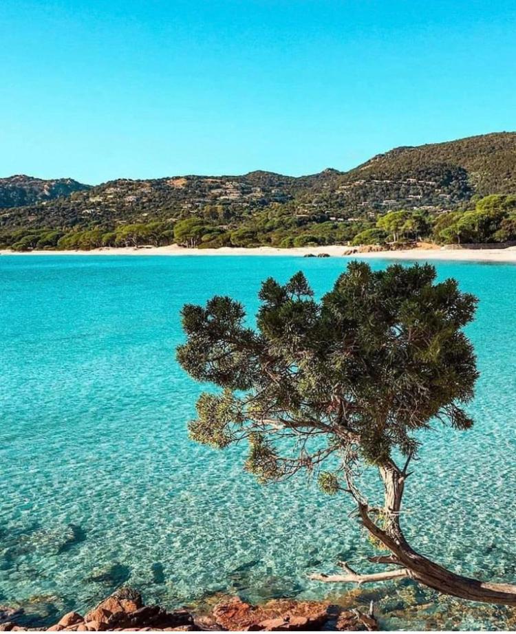 Villa Le Corail Rouge Corse Lecci Εξωτερικό φωτογραφία