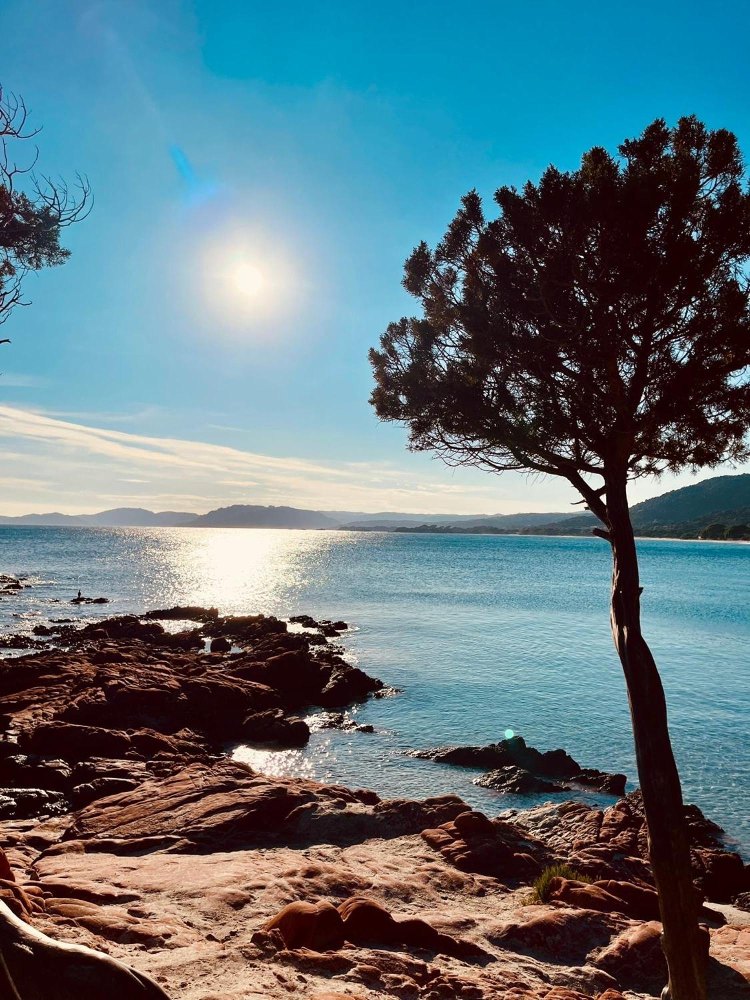 Villa Le Corail Rouge Corse Lecci Εξωτερικό φωτογραφία