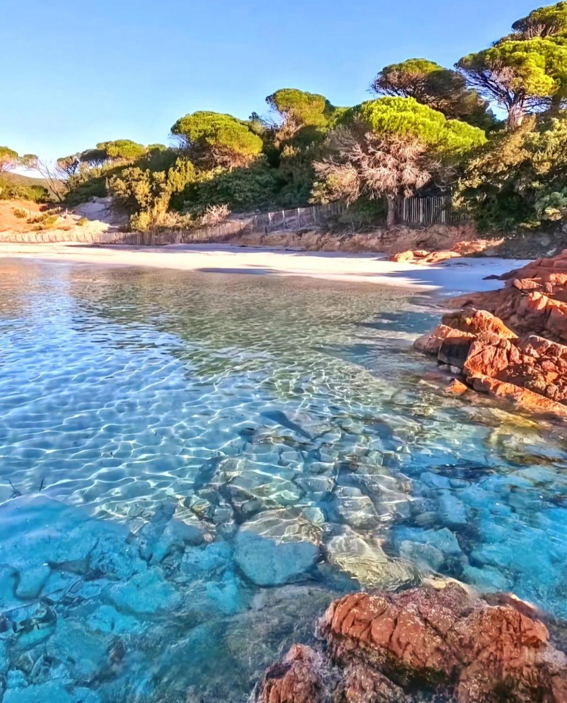 Villa Le Corail Rouge Corse Lecci Εξωτερικό φωτογραφία